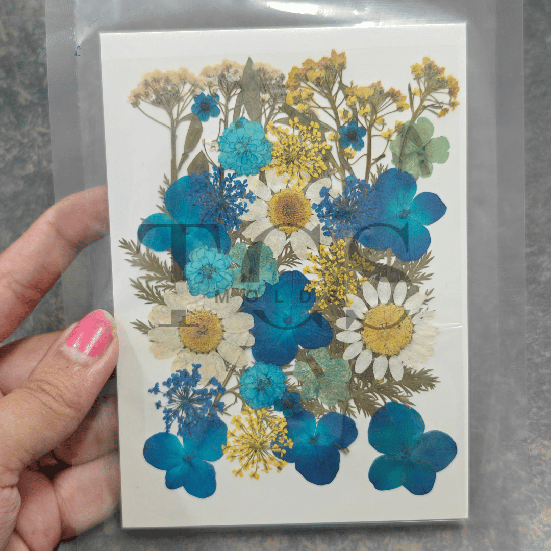 30 in 1 real blue dry flowers