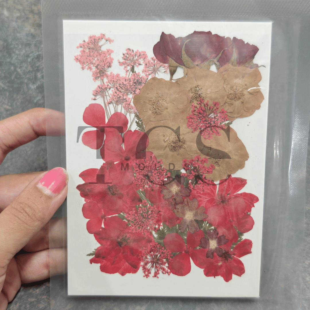 30 in 1 real red dry flowers