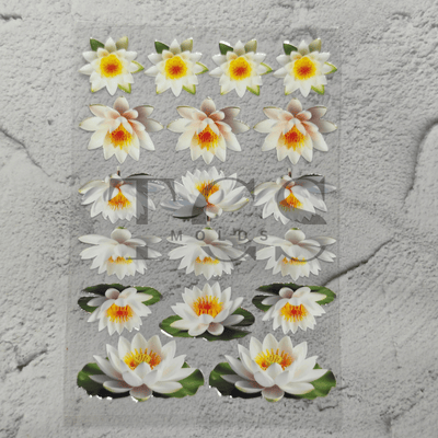A6 Uv dtf sheet white lotus