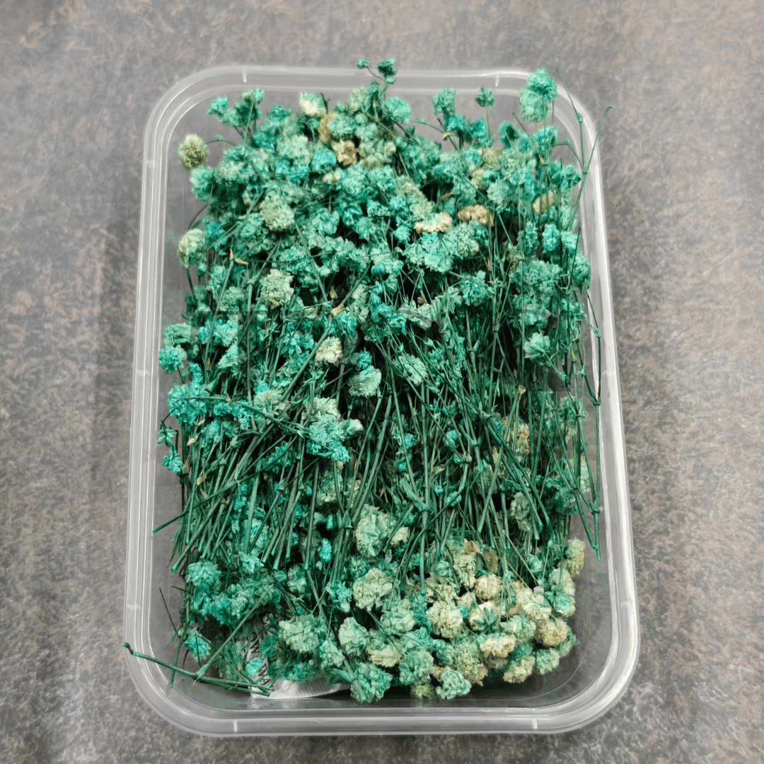 Baby Breath (green)