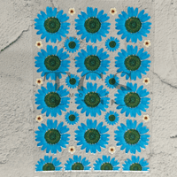 A6 Uv dtf sheet daisy
