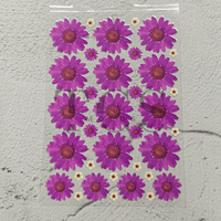 A6 Uv dtf sheet daisy