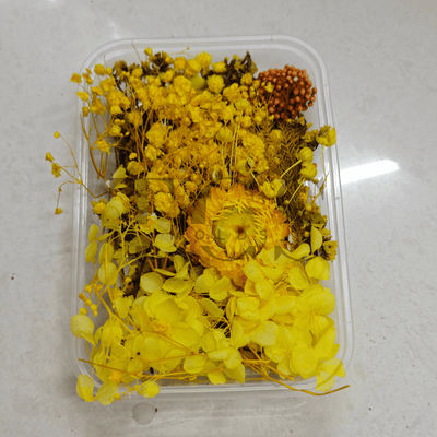 Dry flower box D7