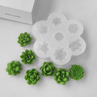 Flower, Cactus,Rose set of 3