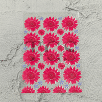 A6 Uv dtf sheet daisy