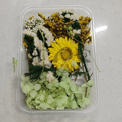 Dry flower box D14