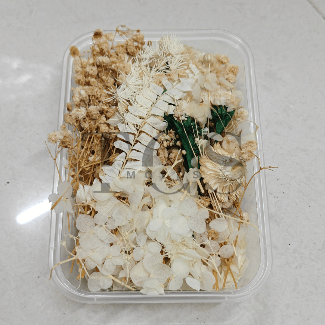 Dry flower box D1