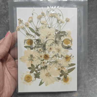 30 in 1 real white dry flowers - dry flower/decorative for resin art and craft projects