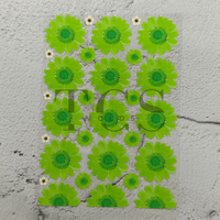 A6 Uv dtf sheet daisy