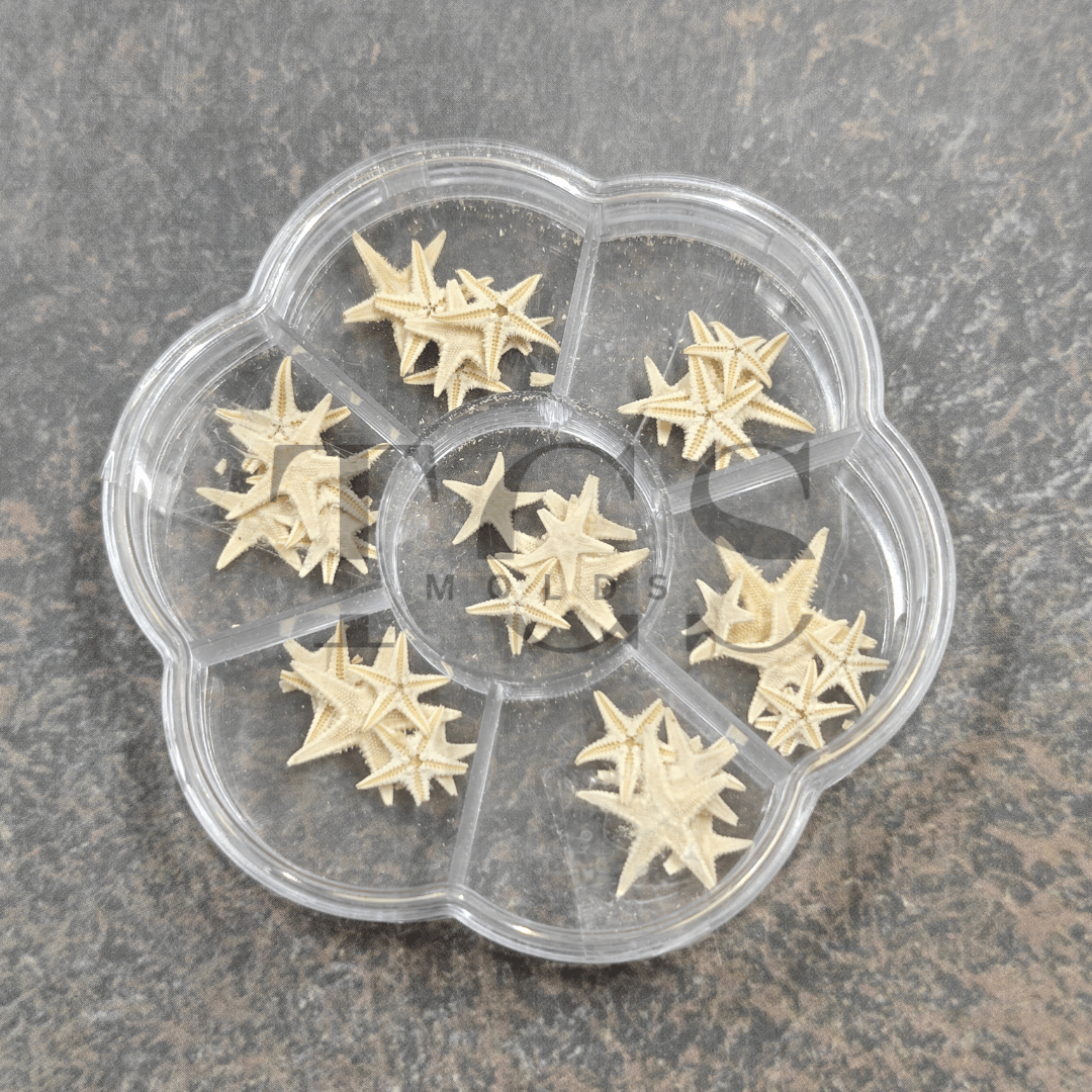 Star fish set of 7