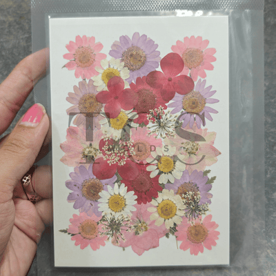 30 in 1 real purple dry flowers - dry flower/decorative for resin art and craft projects