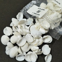 Shell for Resin Art | Premium Epoxy Resin Supplier India