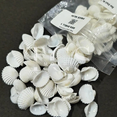 Shell for Resin Art | Premium Epoxy Resin Supplier India