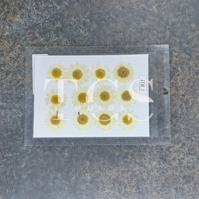 12 In 1 Pressed Flower white for Resin Art | Premium Epoxy Resin Supplier India